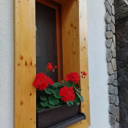 Privat Lena Πανσιόν 3*