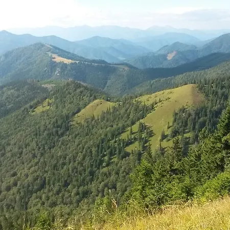 Privat Lena Affittacamere